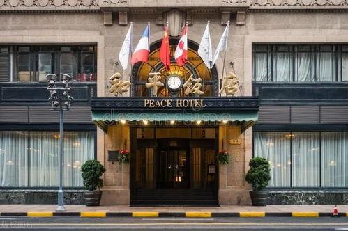 和平饭店在线观看影片,探秘民国风云，揭秘神秘事件