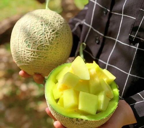 娱乐吃瓜制作,吃瓜群众必看的幕后故事